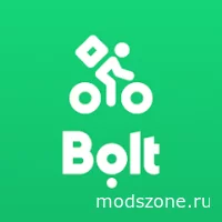 Bolt Food Courier